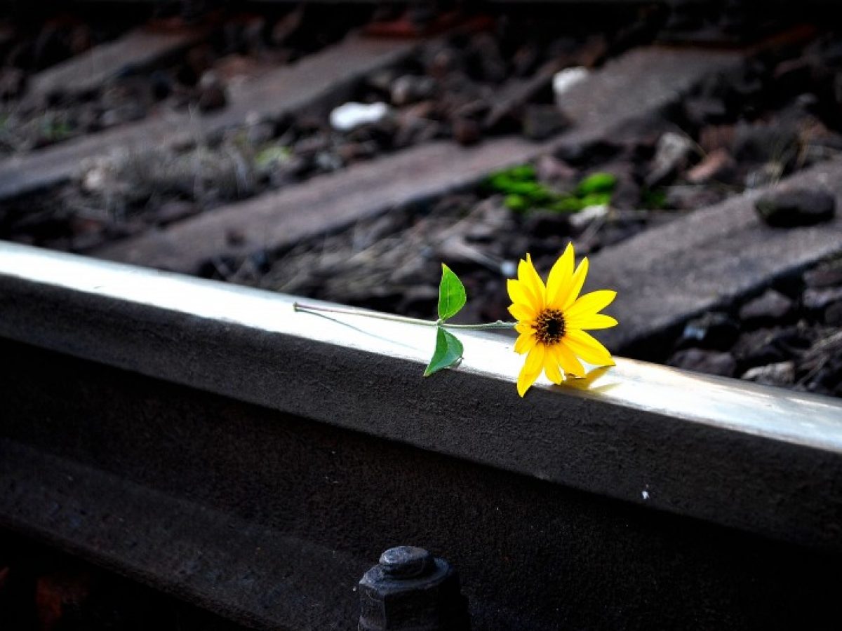 Setembro Amarelo: a importância de falar sobre prevenção de suicídio - Grupo Bplan